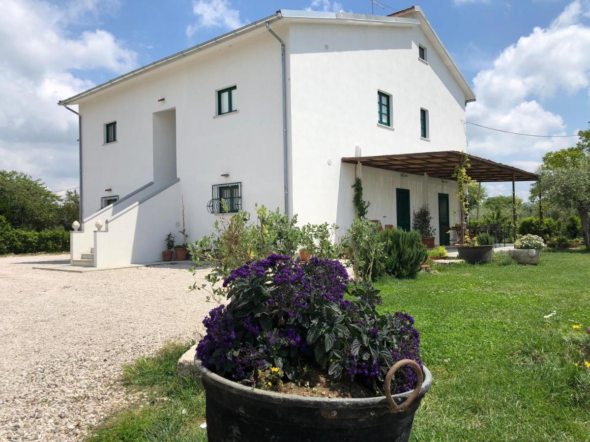 Casa Agricola Scorziello Villa Serre  Eksteriør bilde