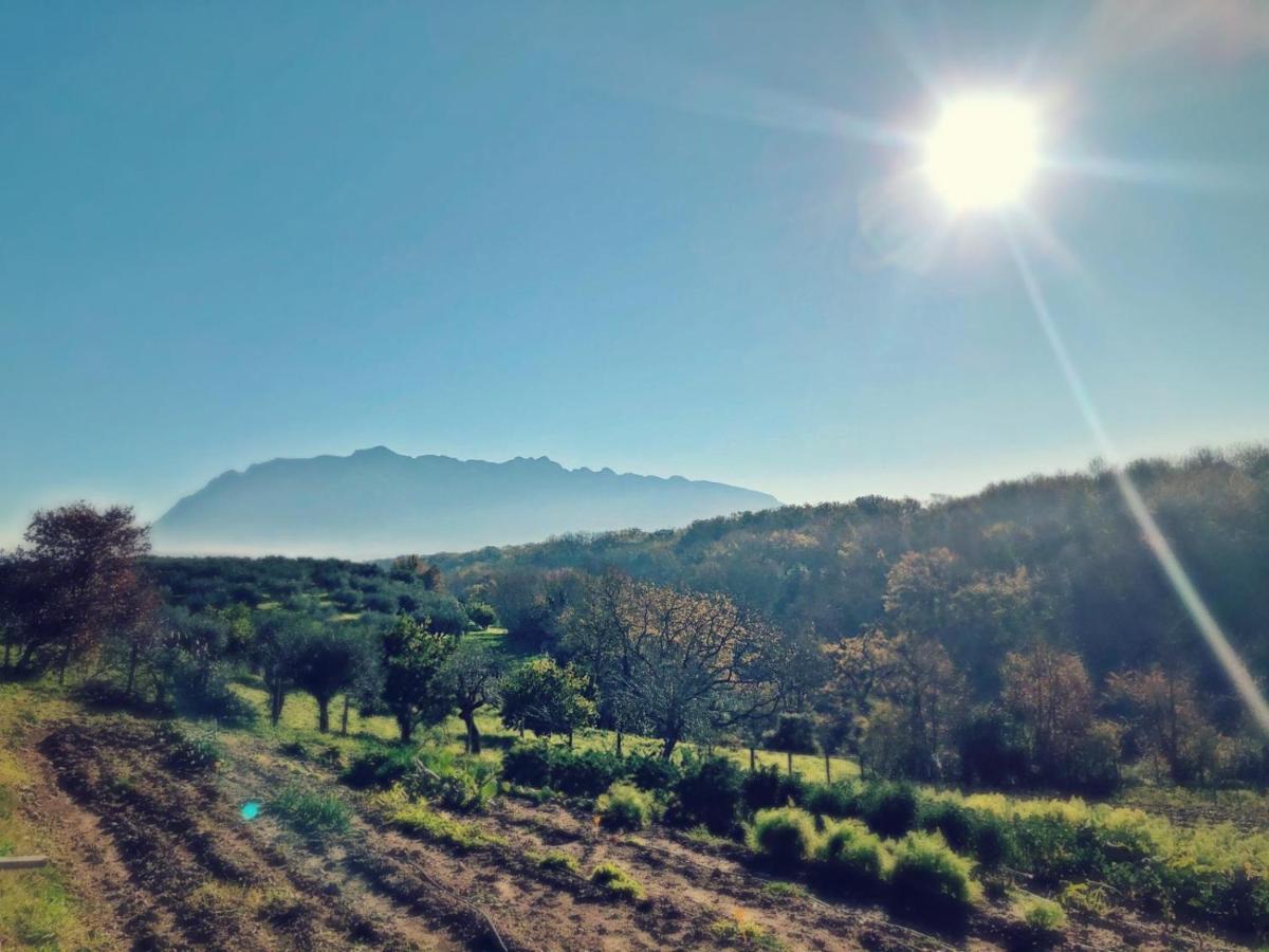 Casa Agricola Scorziello Villa Serre  Eksteriør bilde
