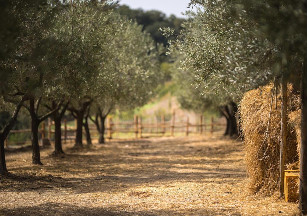 Casa Agricola Scorziello Villa Serre  Eksteriør bilde